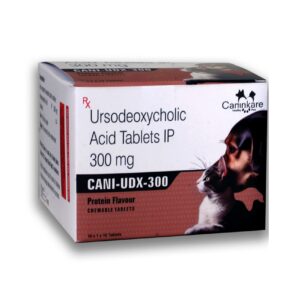 ursodeoxycholic acid tablet