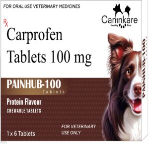 Carprofen Tablets 100 mg