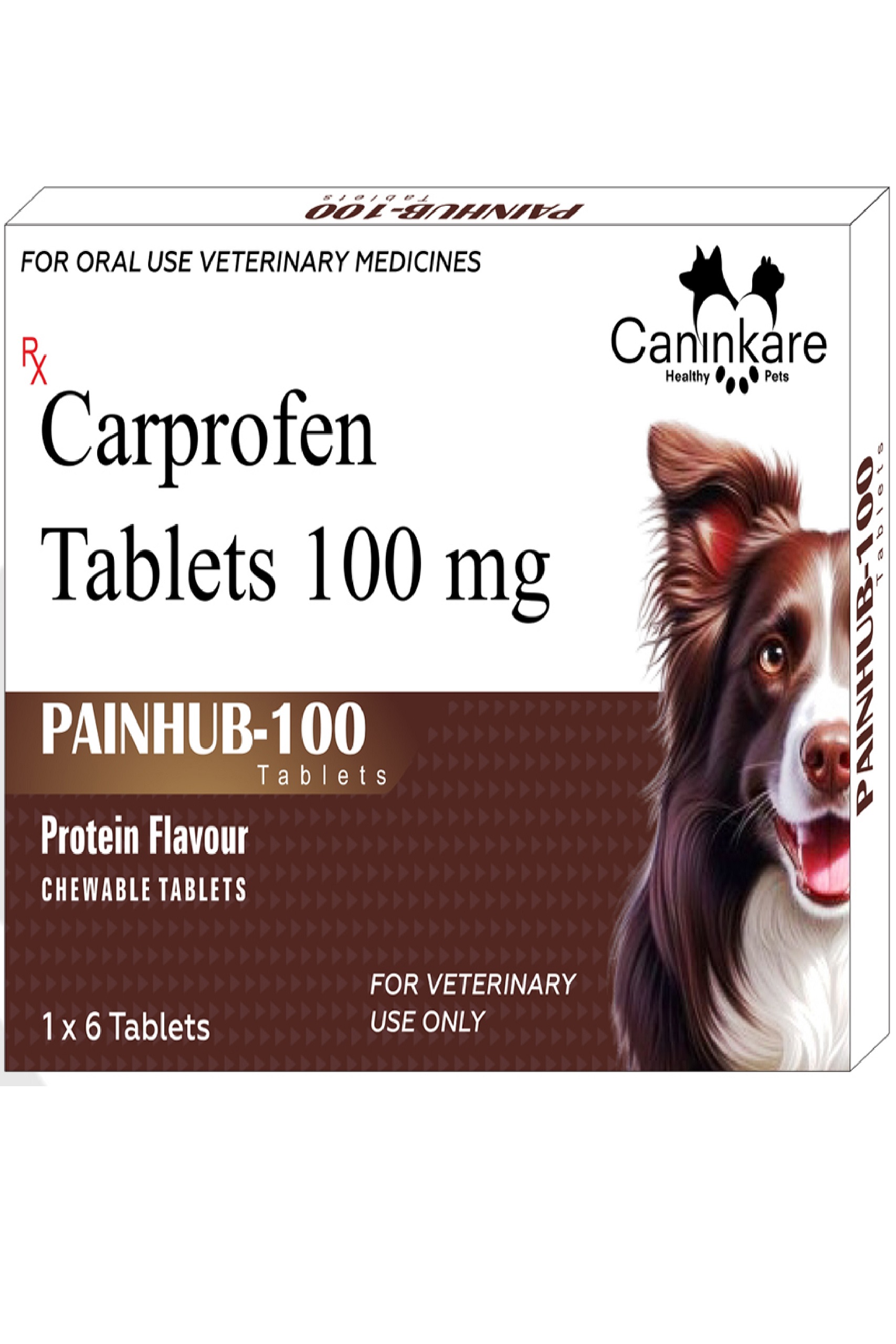 Carprofen Tablets 100 mg