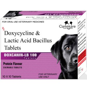 Doxycycline Tablets 100