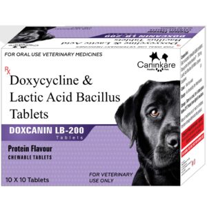 Doxycycline Tablets 200
