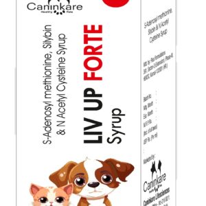 LIV UP Forte Syrup