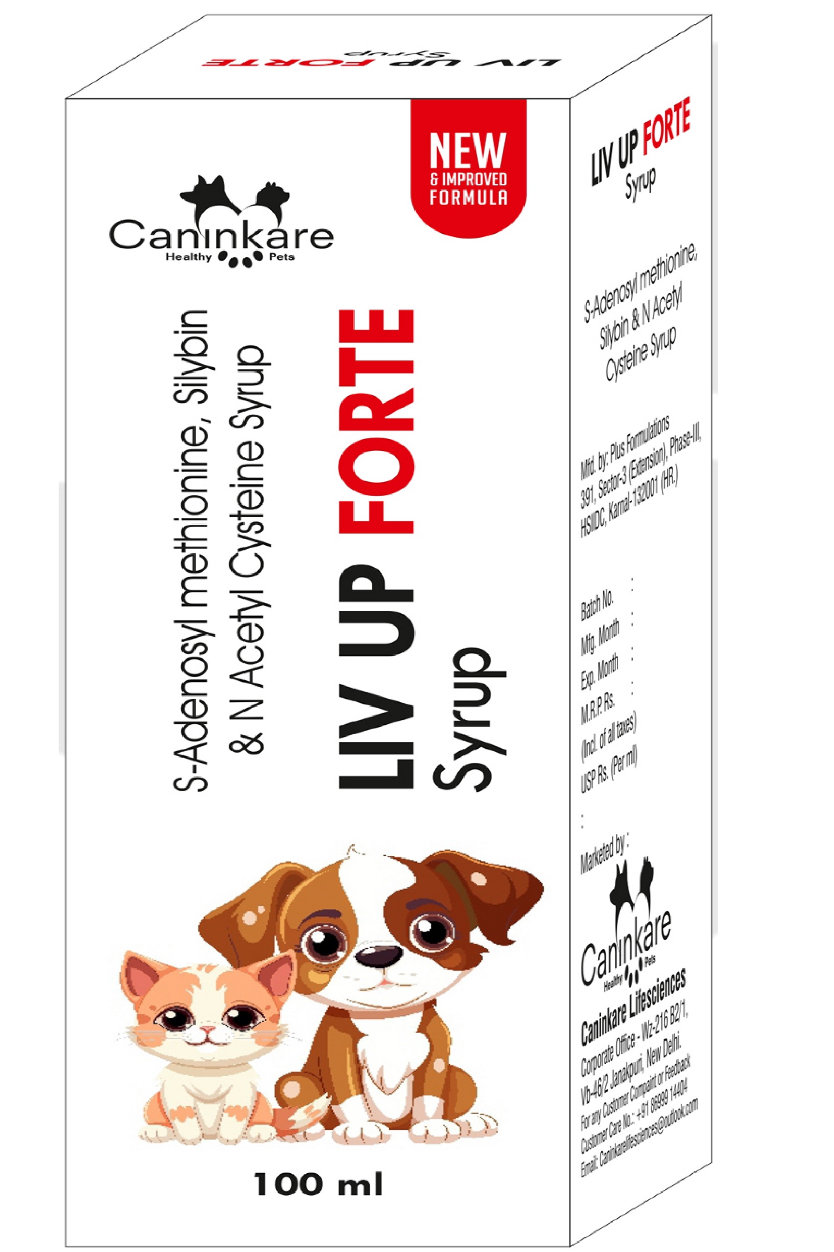 LIV UP Forte Syrup