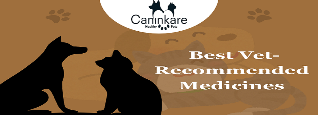 Best Vet-Recommended Medicines for pet diseases and digestion problems