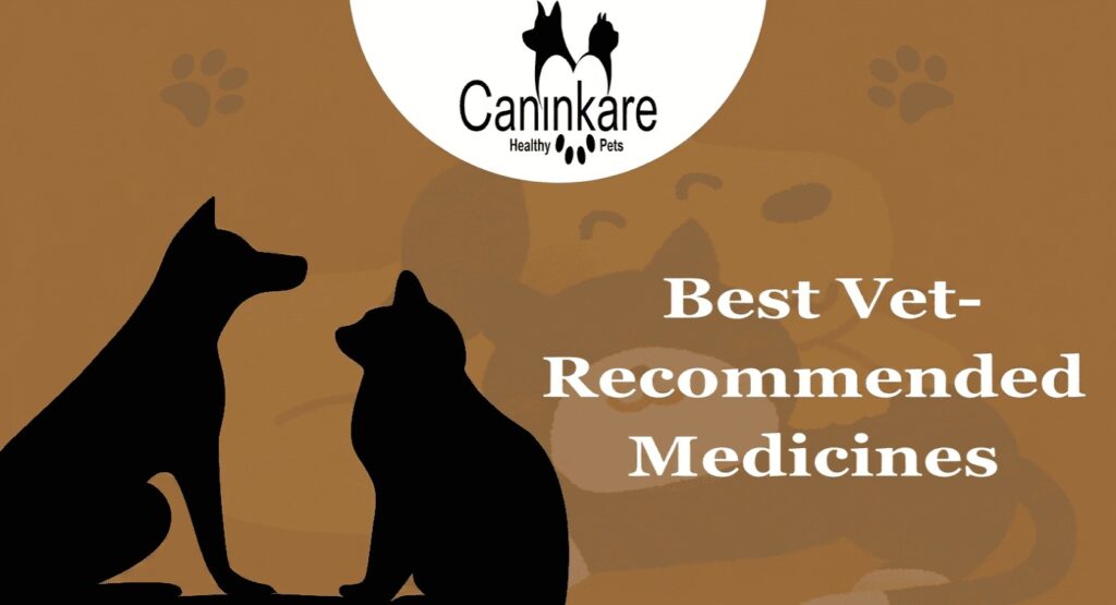 Best Vet-Recommended Medicines for Pet Diseases and Digestion Problems