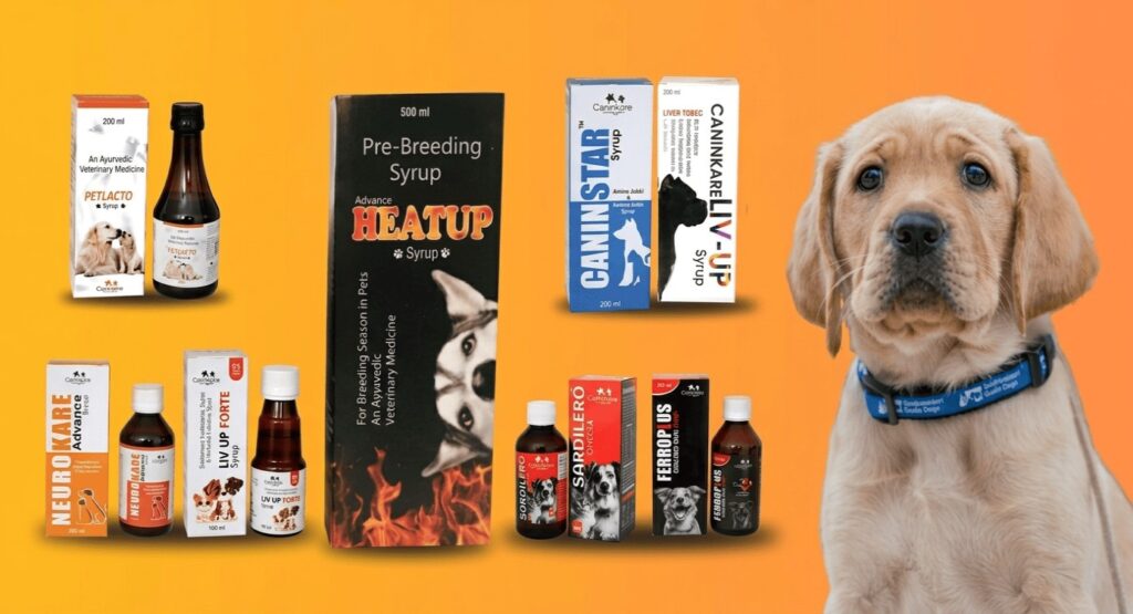 How Dog Supplements Support A Healthy, Active, and Long Life for Your Furry Friend