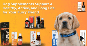 How Dog Supplements Support A Healthy, Active, and Long Life for Your Furry Friend