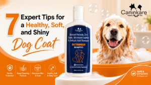 7 Expert Tips for a Healthy, Soft, and Shiny Dog Coat