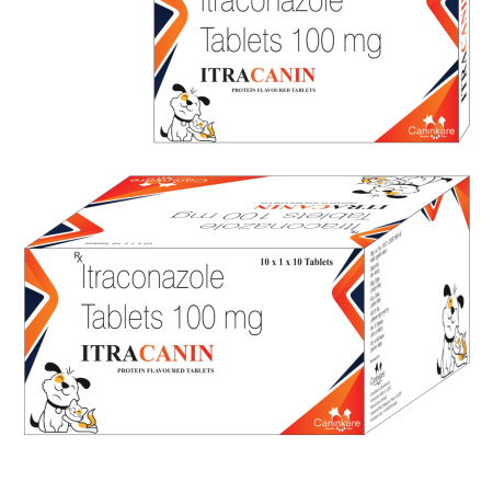 Itraconazole Tablets 100mg ITRACANIN