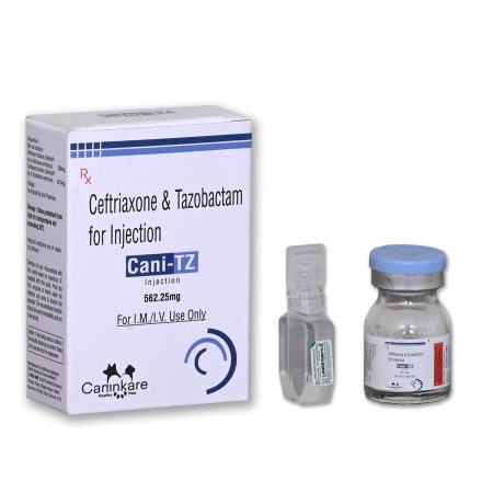 Ceftriaxone & Tazobactam For Injection