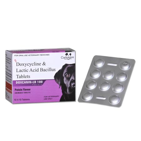 Doxycycline & Lactic Acid Bacillus - 100