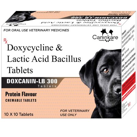 Doxycycline & Lactic Acid Bacillus - 300