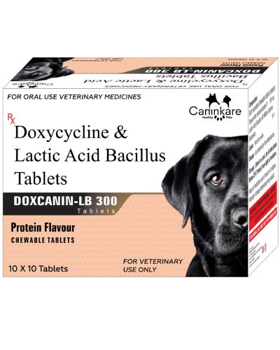 Doxycycline & Lactic Acid Bacillus - 300