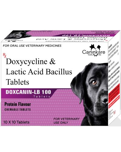 Doxycycline Tablets 100
