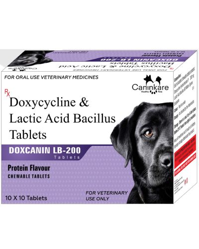 Doxycycline Tablets 200