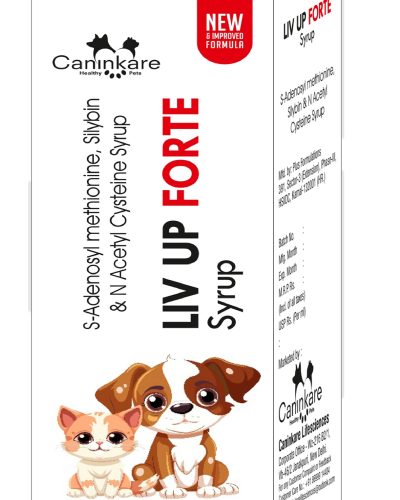 LIV UP Forte Syrup