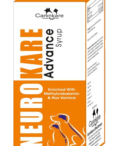 Neuro Kare Syrup