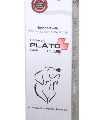 Plato Plus