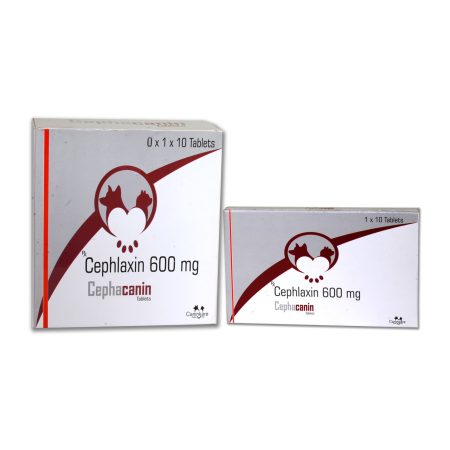 cephlaxin 600 mg